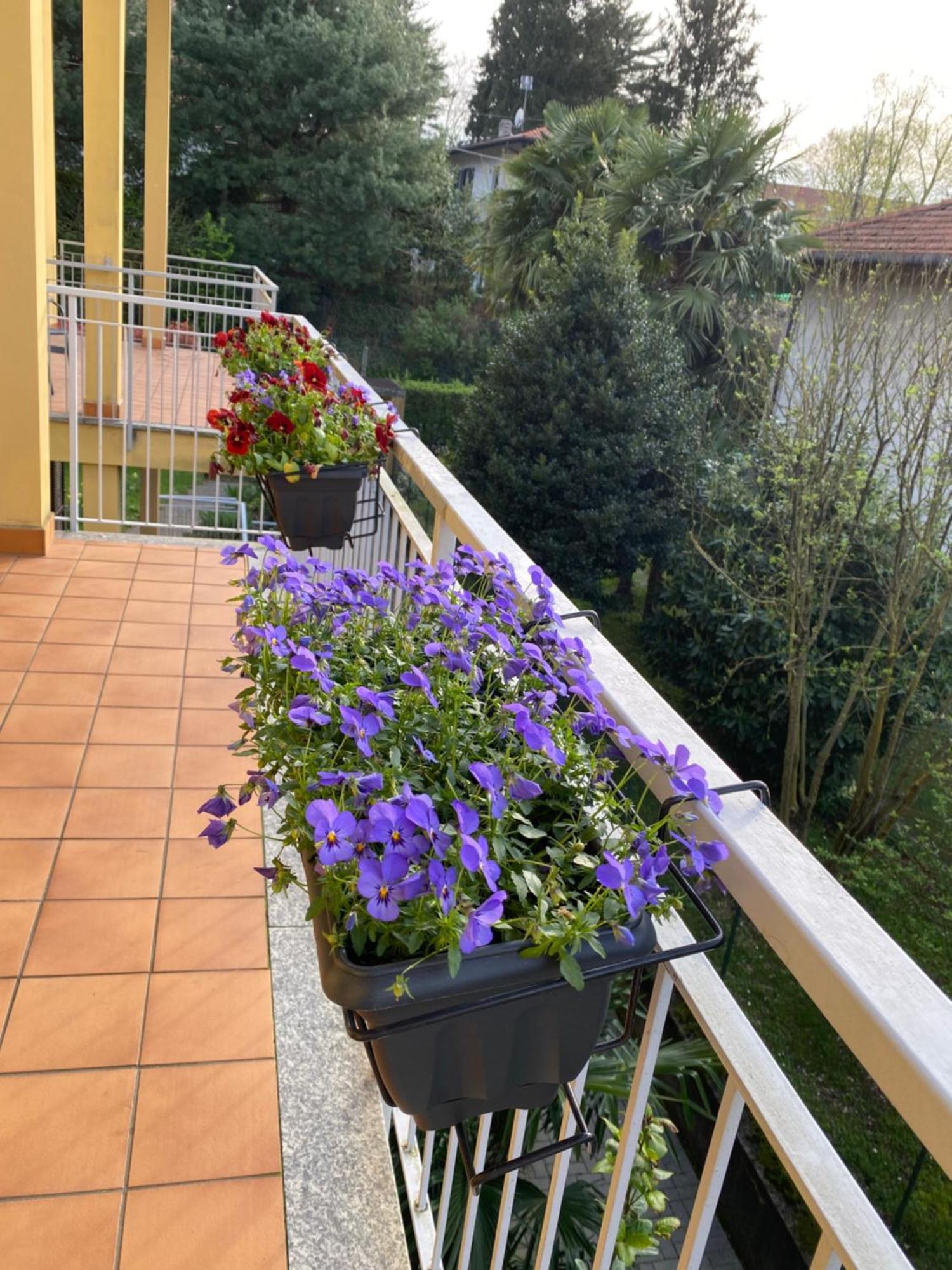 Appartamento Anna Lungo Fiume - Lago Maggiore 세스토 칼렌데 외부 사진