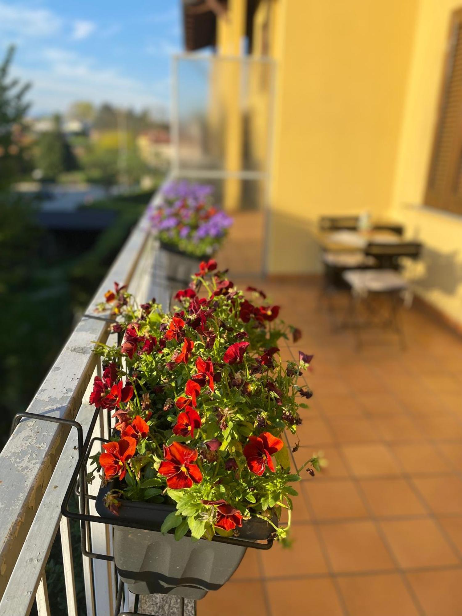 Appartamento Anna Lungo Fiume - Lago Maggiore 세스토 칼렌데 외부 사진